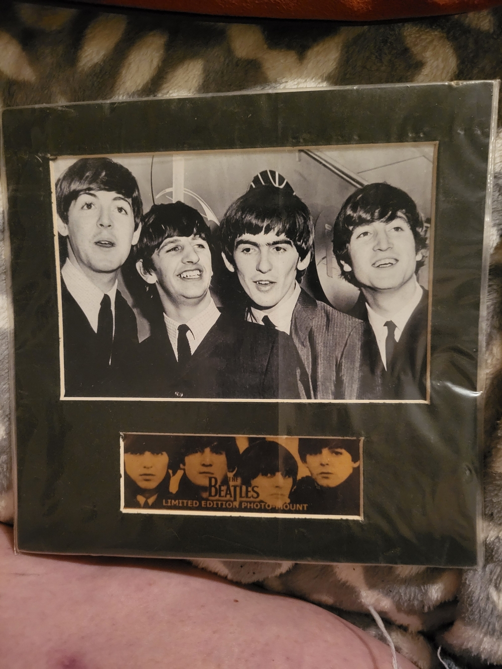 The Beatles Black & White Portrait Poster